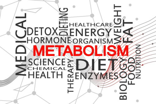 Blog Image: Boost Metabolism with Gene Suppression