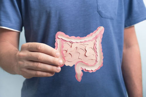 Blog Image: Immune Cells Fuel in Your Gut 