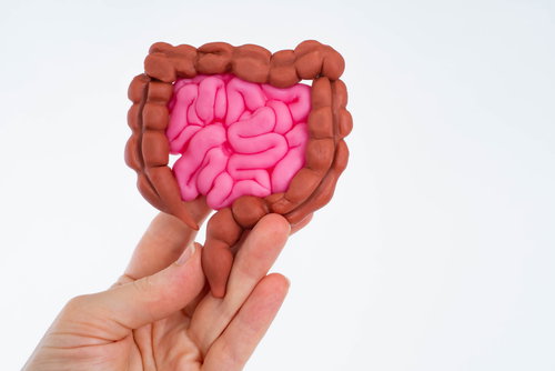 Blog Image: Obesity Profile Links to Gut Microbiome