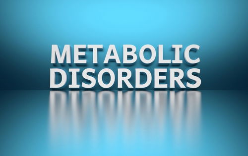 Blog Image: Feed Your Gut to Fix Your Metabolism