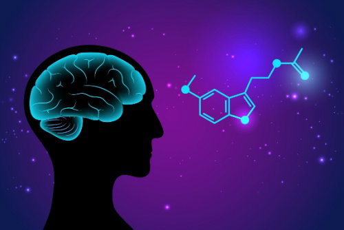 Blog Image: How the Nighttime Hormone Impacts Metabolism