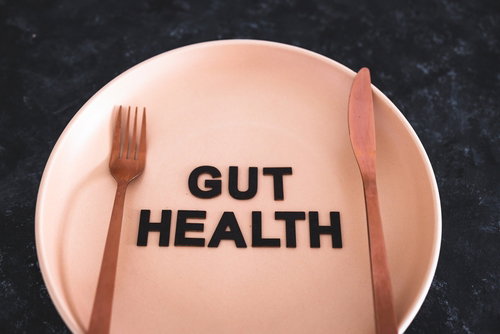 Blog Image: Good Gut Food for Weight Control