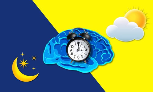 Blog Image: Nighttime Melatonin’s Gut-Brain Connection