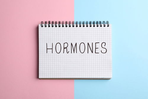 Blog Image: Hormones Shape Your Body and Mind Blog Image: Hormones Shape Your Body and Mind