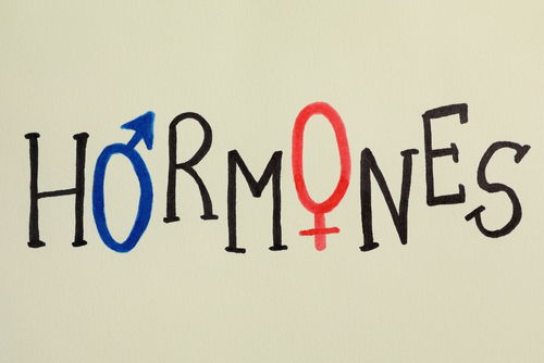 Blog Image: Hormones Play a Major Role in Healthy Living Blog Image: Hormones Play a Major Role in Healthy Living