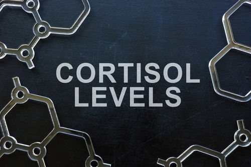 Blog Image: What You Need to Know About Cortisol