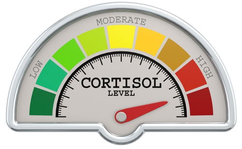 Blog Image: Cortisol Increases Glucose Availability Blog Image: Cortisol Increases Glucose Availability
