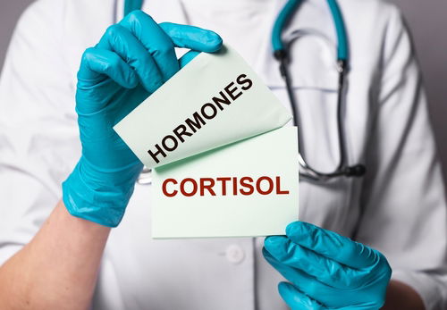 Blog Image: Cortisol Is a Questionable Energy Source Blog Image: Cortisol Is a Questionable Energy Source