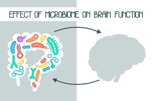 Blog Image: Low Carb Veggies Support Gut-Brain Axis