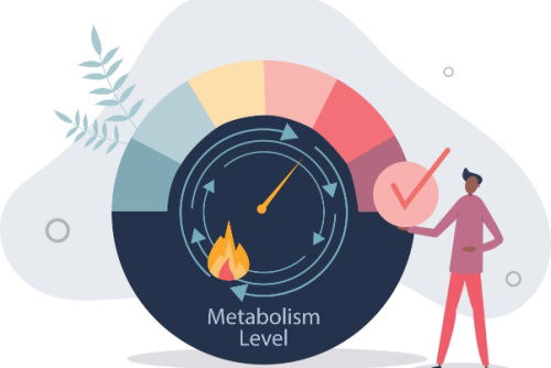 Blog Image: PV-1 Gene May Revolutionize Metabolism Blog Image: PV-1 Gene May Revolutionize Metabolism