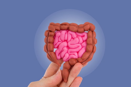 Blog Image: Feed Your Microbiome to Lose Weight