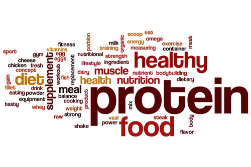Blog Image: Protein Is an Essential Macronutrient for Weight Loss Blog Image: Protein Is an Essential Macronutrient for Weight Loss