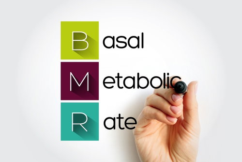 Blog Image: How Does Metabolism Slow with Age?