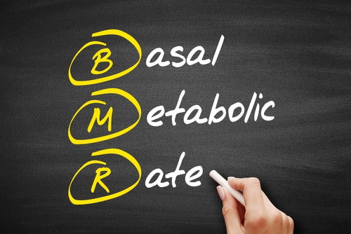 Blog Image: Does Metabolism Naturally Slow In Midlife?