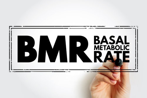 Blog Image: Does Metabolic Rate Slow at Age 30 or 40?