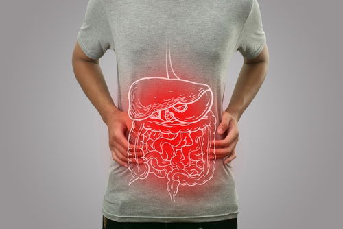 Blog Image: Weight Gain Linked to Gut Inflammation