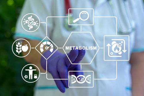 Blog Image: Liver’s Role for Metabolic Fat Burning Blog Image: Liver’s Role for Metabolic Fat Burning
