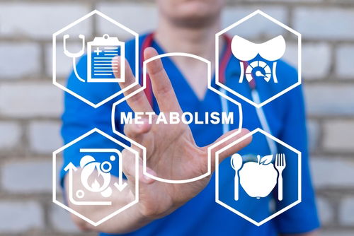 Blog Image: PV-1 Gene Can Reverse Metabolism Blog Image: PV-1 Gene Can Reverse Metabolism