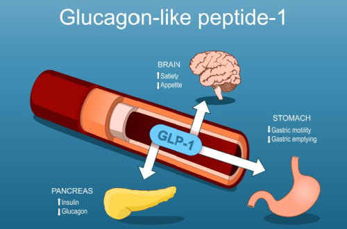 Blog Image: How Do GLP-1s Boost Whole Body Wellness?