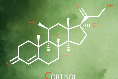 Blog Image: The Science Behind Cortisol Fat Gain Blog Image: The Science Behind Cortisol Fat Gain