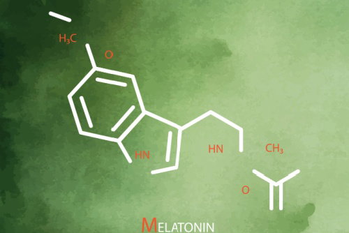 Blog Image: How Brown Fat Boosts Calorie Burning