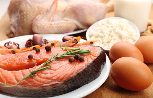 Blog Image:  Consuming Protein Is Essential to Growth and Repair