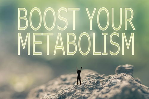 Blog Image: Gene Suppression May Boost Metabolism Blog Image: Gene Suppression May Boost Metabolism