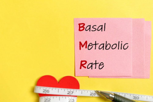 Blog Image: Key Hormones Affecting Basal Metabolic Rate