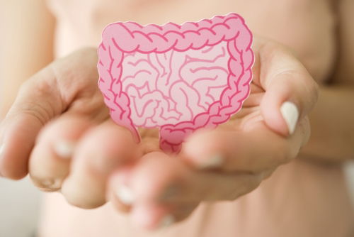 Blog Image: Gut Bacteria Inhibit Fat Absorption