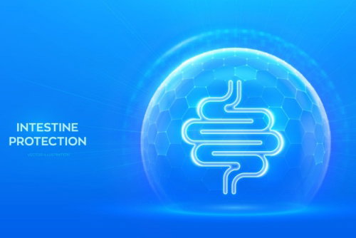 Blog Image: Good Food for Gut Barrier Protection