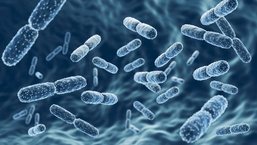 Blog Image: Gut Health with Keto-Style Vegetable Protein