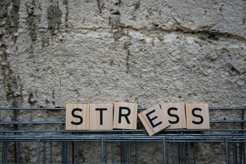 Blog Image: Stress Boosts Hunger for Comfort Foods Blog Image: Stress Boosts Hunger for Comfort Foods