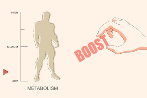 Blog Image: Liver Gene May Boost Metabolism Blog Image: Liver Gene May Boost Metabolism