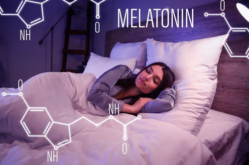 Blog Image: Supporting Natural Melatonin Without a Pill