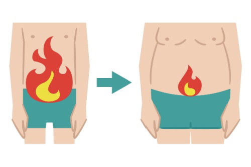 Blog Image: What are Hormone-Sensitive Fat Storage Regulators?