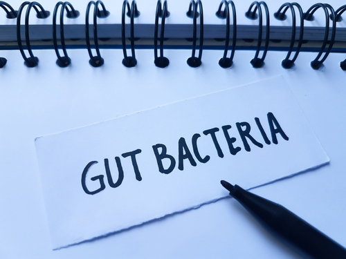 Blog Image: Gut Bacteria Boosts Nutrient Absorption