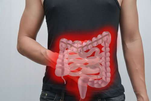 Blog Image: Gut Check: How’s Your Microbiome Doing?