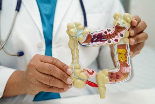 Blog Image: The Role of Food in Energy Metabolism