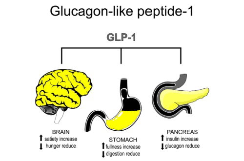 Blog Image: How Do GLP-1 Meds Silence Food Noise?
