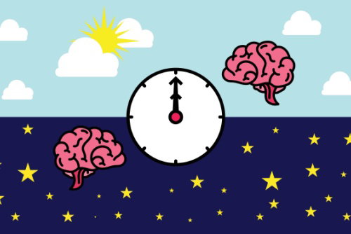 Blog Image: Gut-Brain Melatonin Influences Fullness Signals