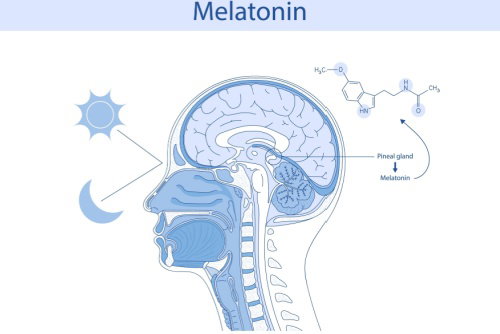 Blog Image: Disrupted Melatonin Boosts Late Night Snacking