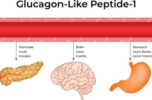 Blog Image: What Determines How GLP-1 Meds Are Prescribed?