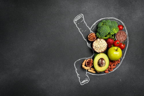 Blog Image: Feed Your Gut to Fuel Weight Loss