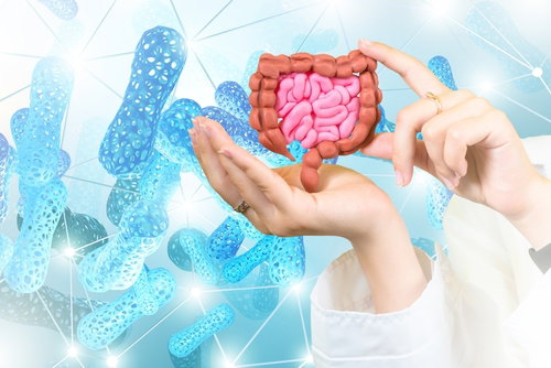 Blog Image: Gut Food to Metabolize Fatty Acids