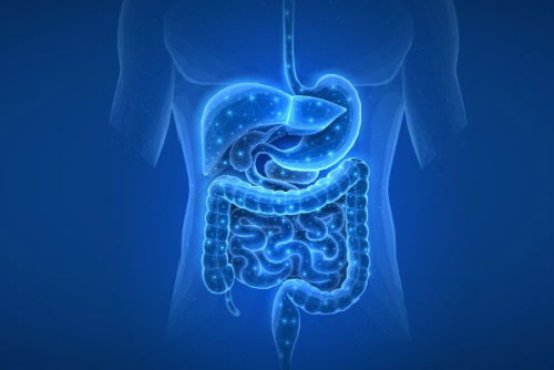 Blog Image: How Drinking Water Boosts Metabolism