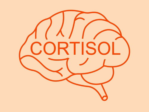 Blog Image: Stress Triggers Cortisol Weight Gain