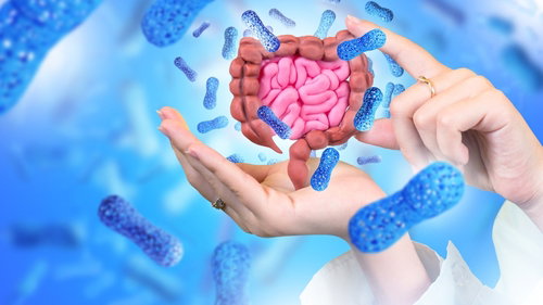 Blog Image: Hidden Gut Secrets for Losing Weight