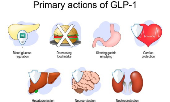 Blog Image: Can Lifestyle Changes Maximize GLP-1 Meds?
