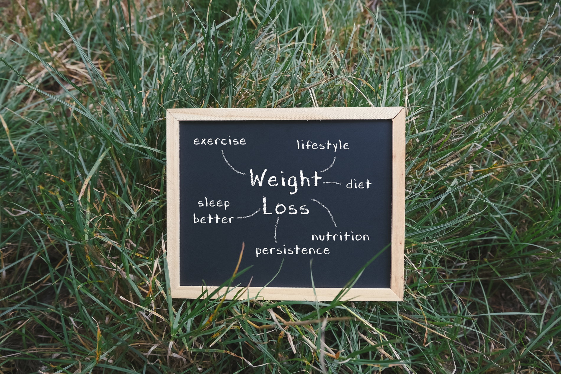 Blog Image: Which Lifestyle Habits Impact GLP-1 Medications?
