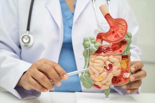 Blog Image: Plant Protein for Better Weight Control